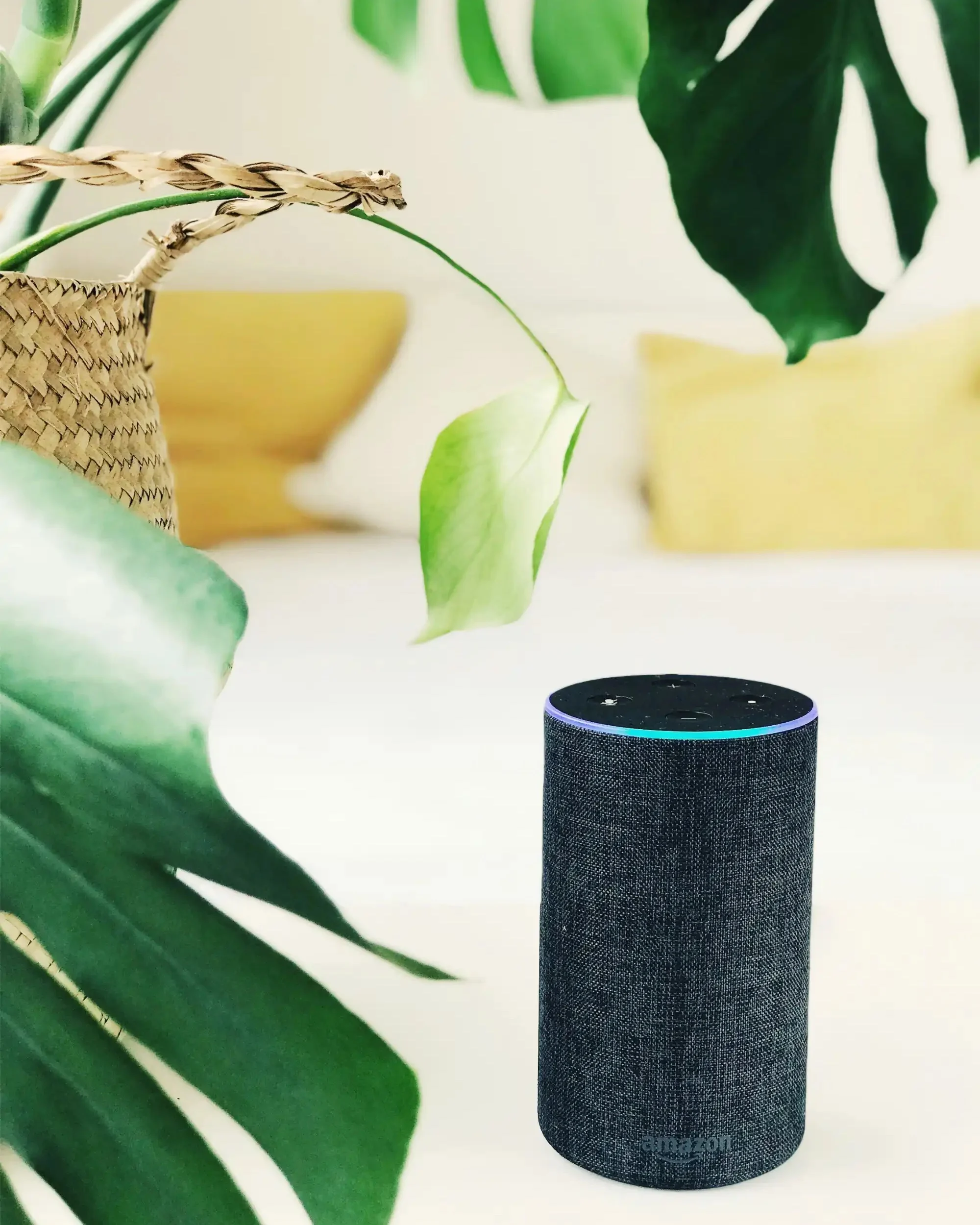 Smart Home